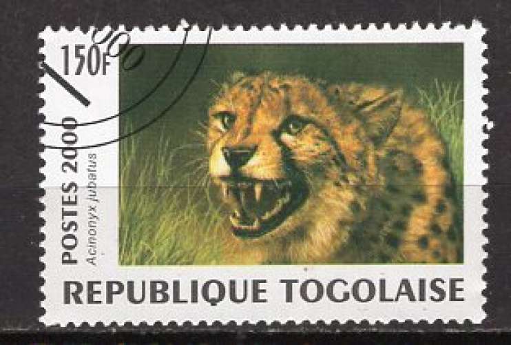 TOGO  2000 ANIMAUX SAUVAGE L'ACYNONIX  OBLITERE