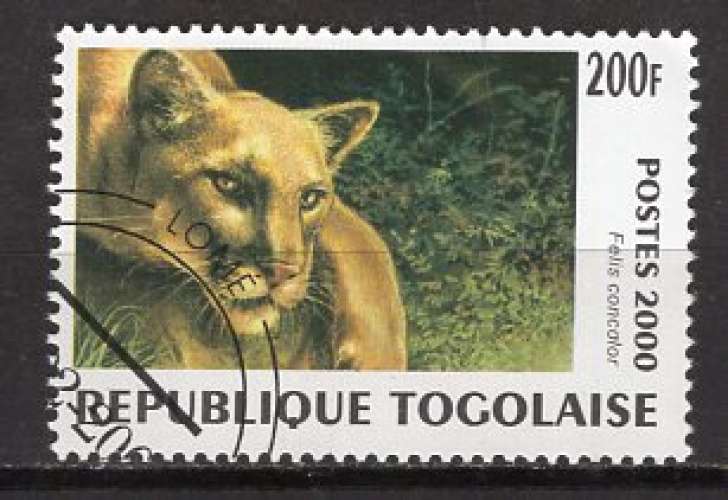 TOGO  2000 ANIMAUX SAUVAGE LE PUMA  OBLITERE