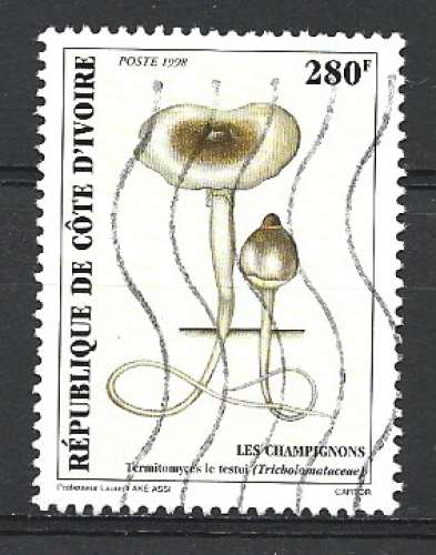 Côte d'ivoire 1995 - champignon 