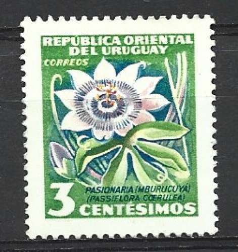 Uruguay 1954 - Y & T : 626 - Fleur : passiflore