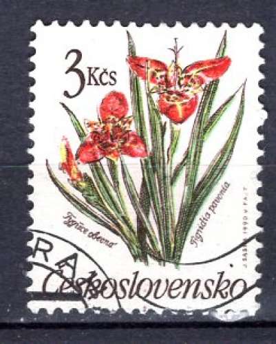 TCHECOSLOVAQUI 1990 LES FLEURS LA TIGRIDIA PAVONA  OBLITERE