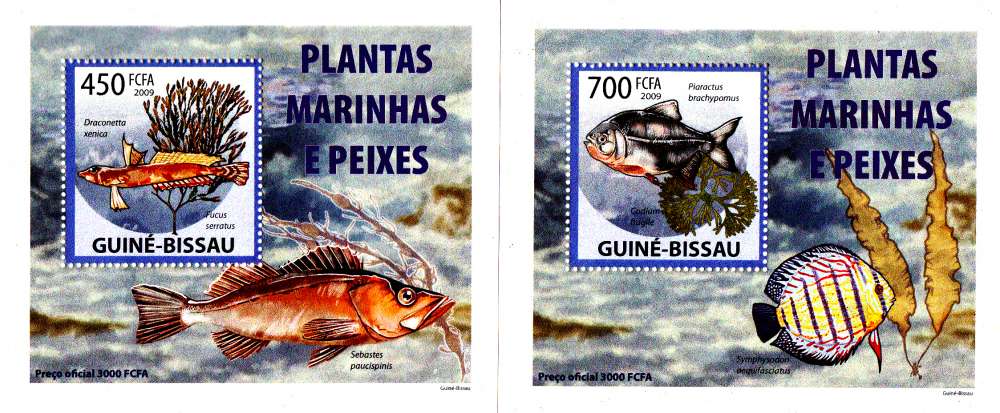 Guinée Bissau 2001 Poissons ( Epreuves de luxe )