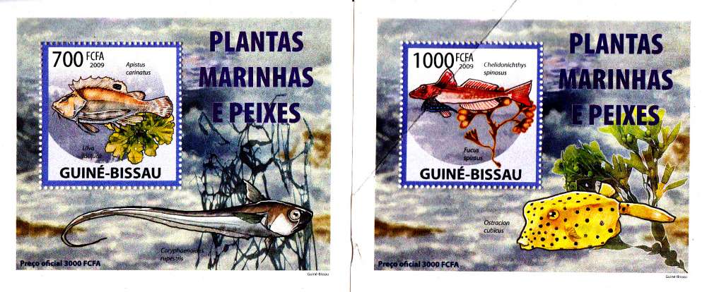 Guinée Bissau 2001 Poissons ( Epreuves de luxe )