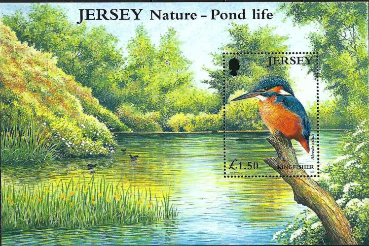 Jersey - 2001 - Y & T n° 35 Blocs & feuillets - MNH