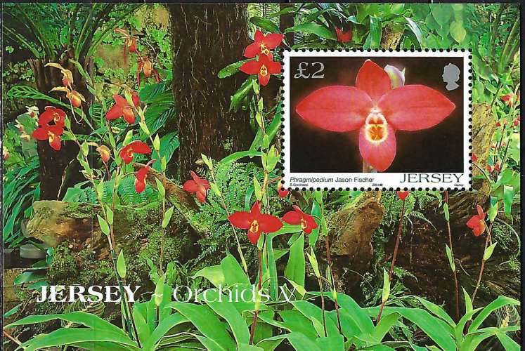 Jersey - 2004 - Y & T n° 54 Blocs & feuillets - MNH