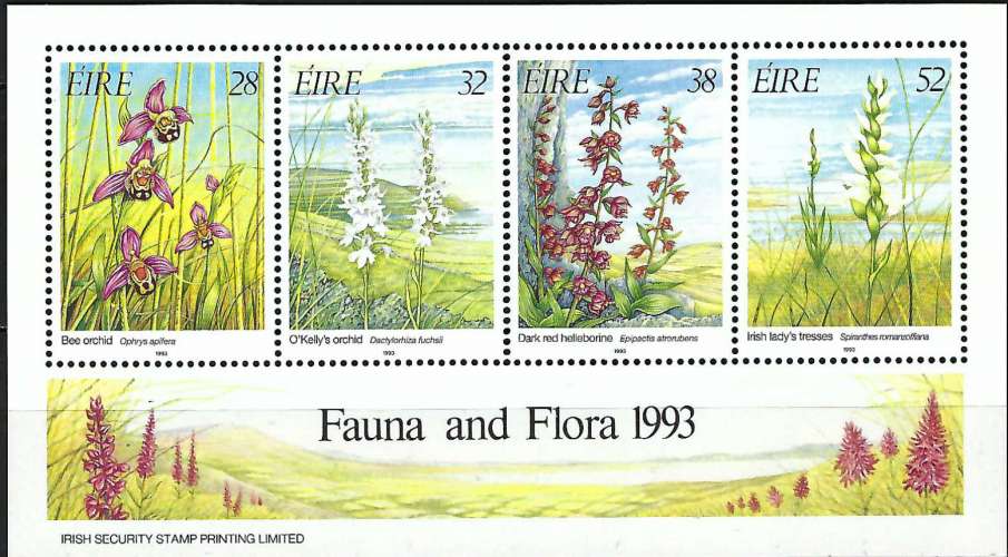 Irlande - 1993 - Y & T n° 13 Blocs & feuillets - MNH