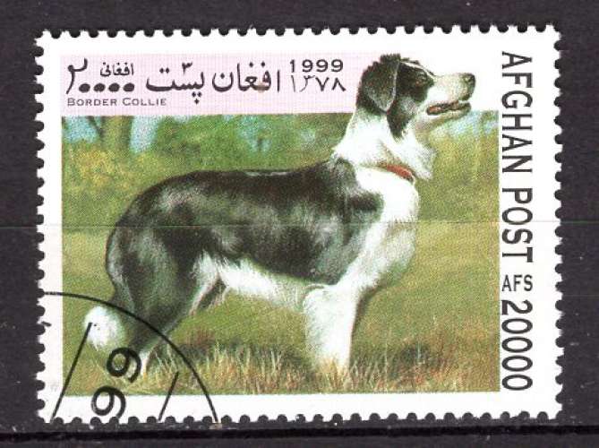 AFGHANISTAN 1999  ANIMAUX LES CHIENS LE BORDER COLLIE OBLITERE