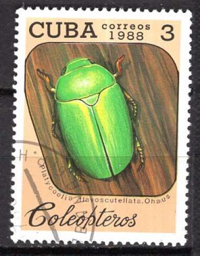 CUBA 1988 LES INSECTES  LES COLEOPTERES OBLITERE