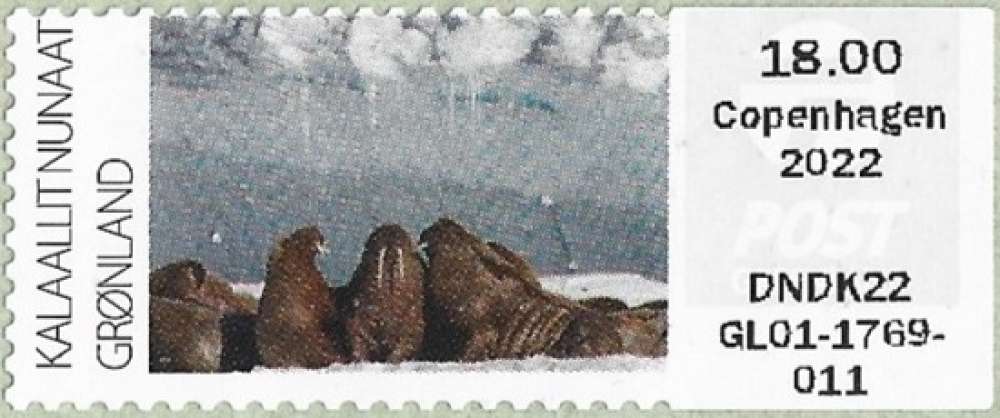 Groenland - 2022 - Y&T 50** - MNH (distributeur)