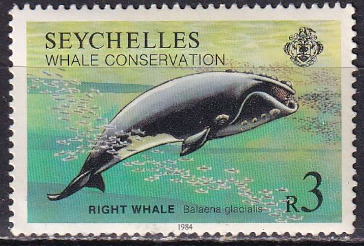 seychelles ... n° 567  neuf* ... 1984