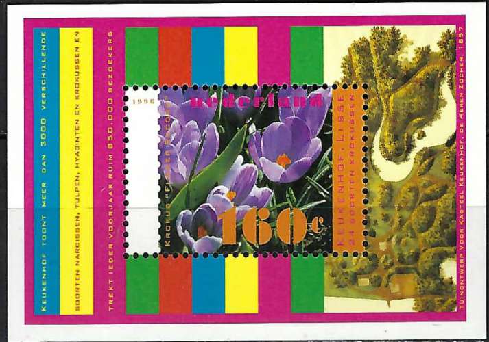 Pays-Bas - 1996 - Y & T n° 47 Blocs & feuillets - MNH