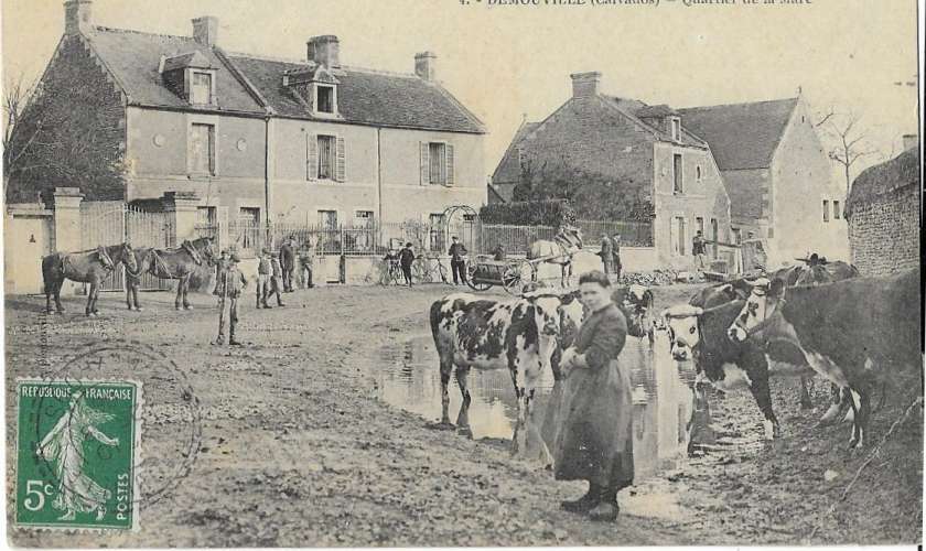 DEMOUVILLE: Quartier de la Mare - 4 Bouffay (vaches, chevaux)