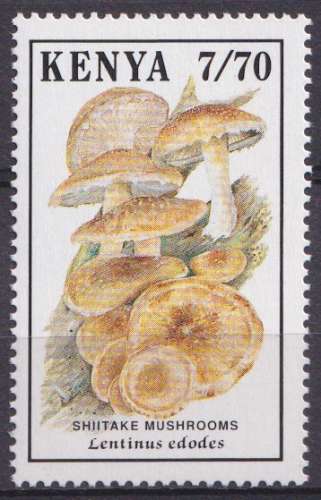 Kenya 1989 Y&T 482 neuf ** - Champignons 