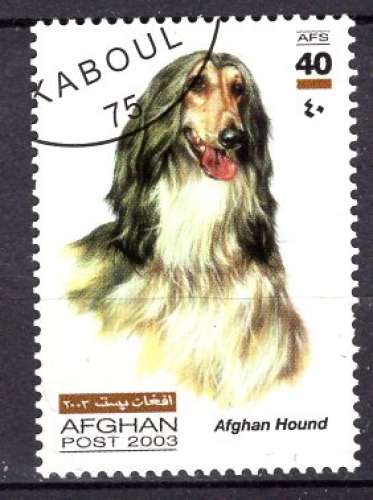 AFGHANISTAN 2003 LES CHIENS L'AFGHAN HOUND OBLITERE