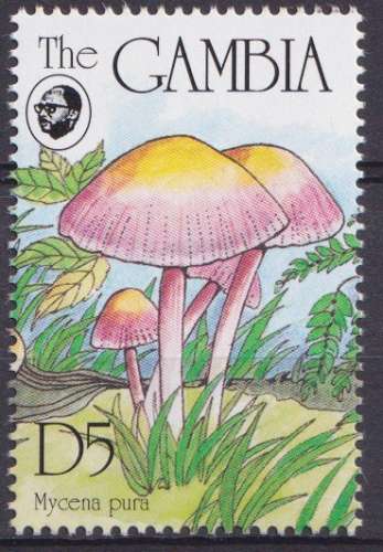 Gambie 1994 Y&T 1721 neuf ** - Champignons 