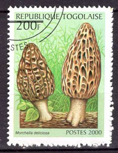 TOGO 2000 LES CHAMPIGNONS OBLITERE