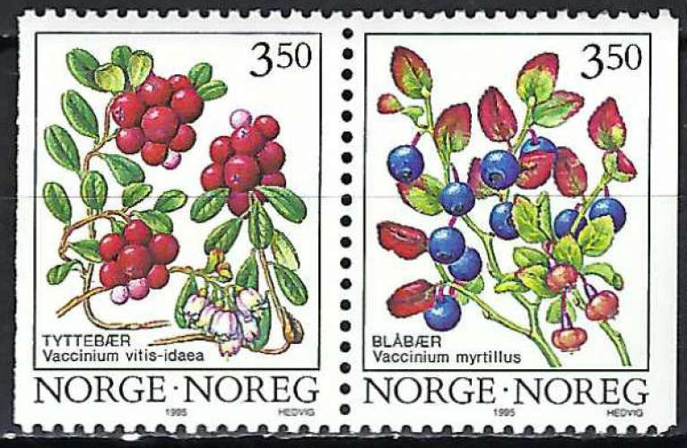 Norvège - 1995 - Y & T n° 1129c - MNH