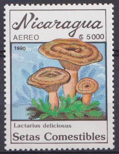 Nicaragua P.A. 1990 Y&T 1316 neuf ** - Champignons