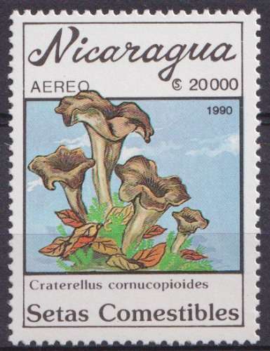 Nicaragua P.A. 1990 Y&T 1318 neuf ** - Champignons 