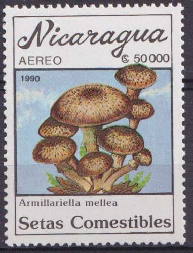 Nicaragua P.A. 1990 Y&T 1320 neuf ** - Champignons 