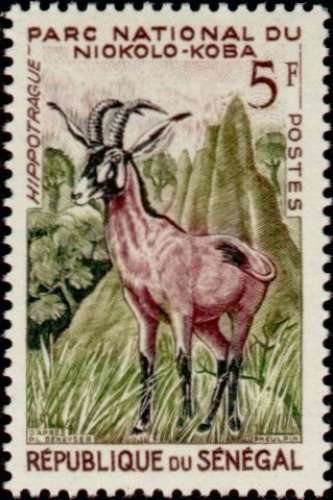 SENEGAL N° YT 198 neuf *