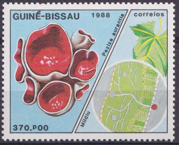 Guinée Bissau 1988 Y&T 475 neuf ** - Champignons