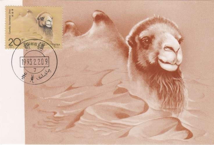 Chine 2 Cartes Maximum CHAMEAU 1993 (2 SCANS)