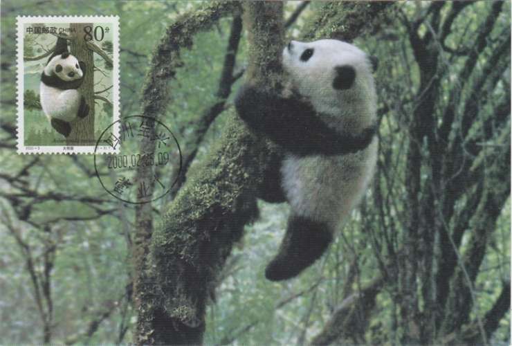 Chine Carte Maximum PANDA 2000 Ours