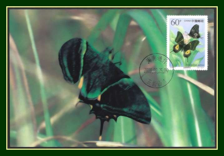 Chine Carte Maximum Papillon 2000 (R) 