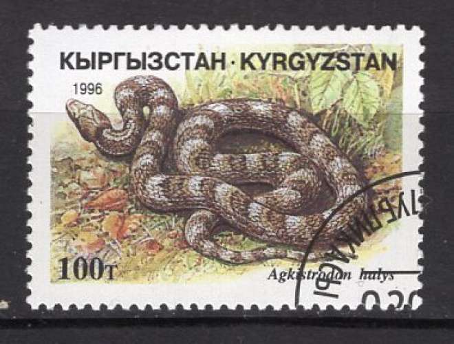 KIRGHISZISTAN 1996 LES SERPENTS  OBLITERE 