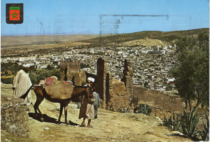 Maroc - Fez - Vue Panoramique