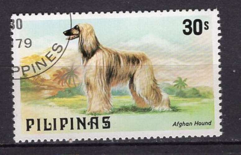 PHILIPPINES 1979 CHIEN LE LEVRIER AFGHAN OBLITERE