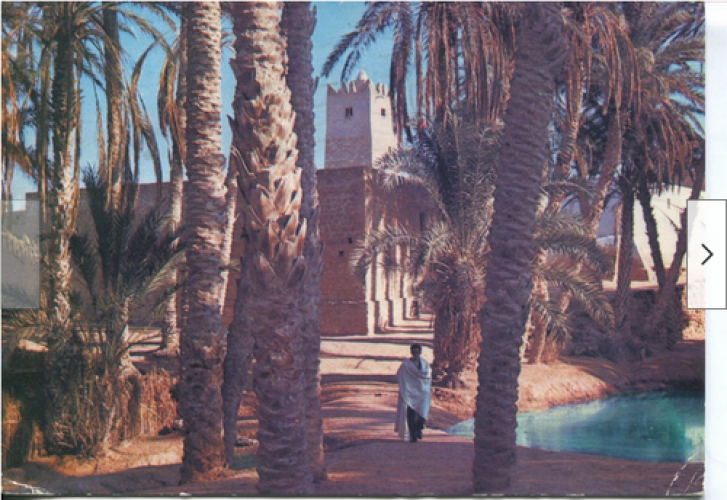 Tunisie - Oasis