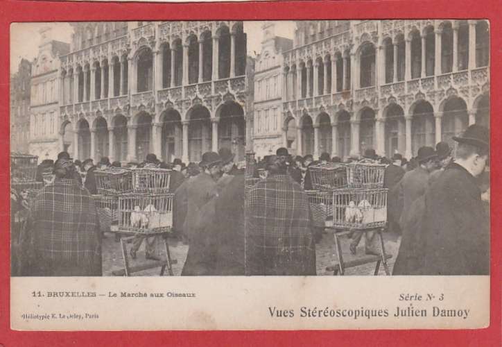 Belgique - Bruxelles - Le marché aux oiseaux 