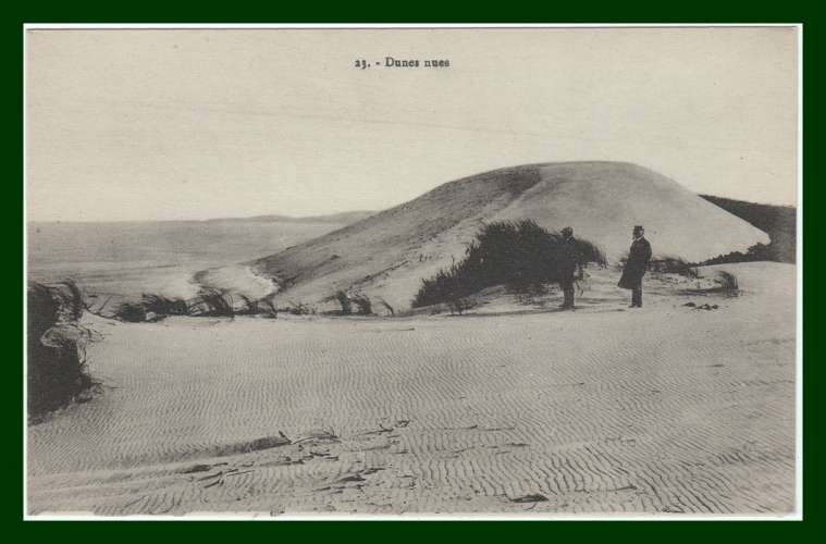 CPA LANDES (17) Dunes nues, non écrite TB