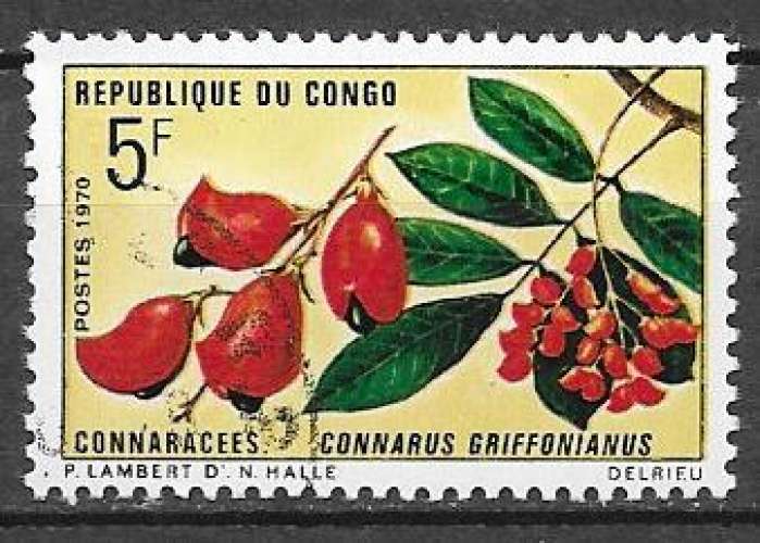 CONGO  N° 271 Yvert OBLITERE ( USED )