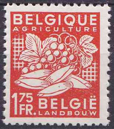 BELGIQUE 1948 NEUF** MNH N° 764