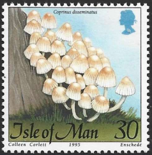 Île de Man - 1995 - Y&T 690 ** - MNH  