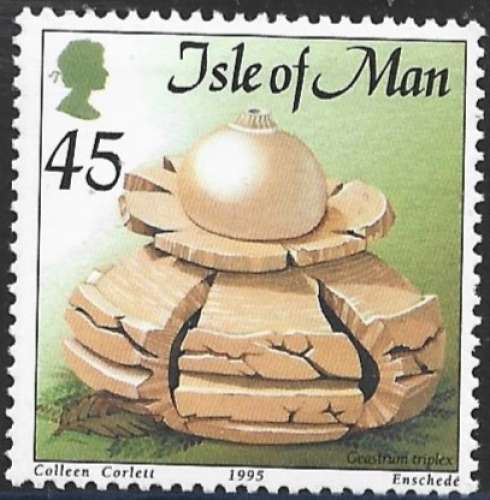 Île de Man - 1995 - Y&T 692 ** - MNH  