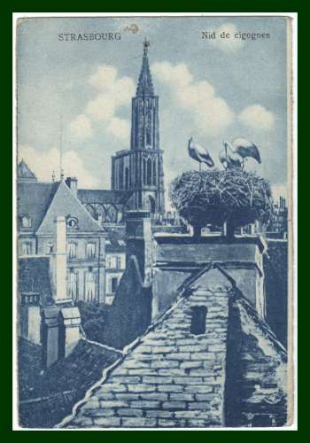  CPA STRASBOURG (67) Nid de Cygognes écrite 1904