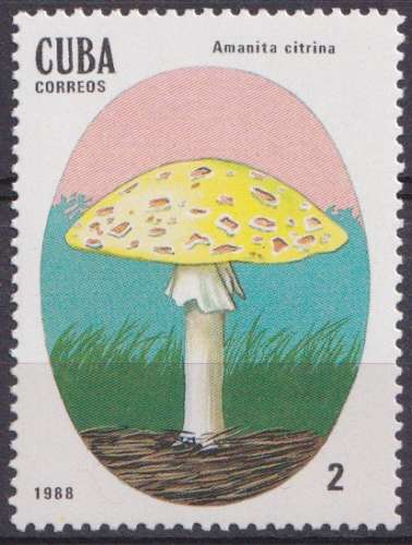 Cuba 1988 Y&T 2824 neuf ** - Champignons 