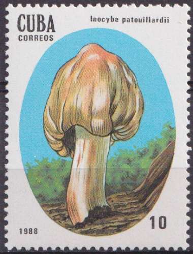 Cuba 1988 Y&T 2827 neuf ** - Champignons