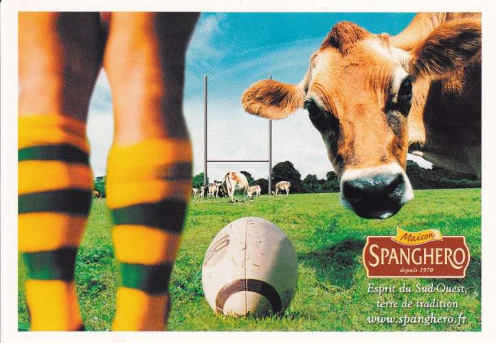 RUGBY - SPANGHERO