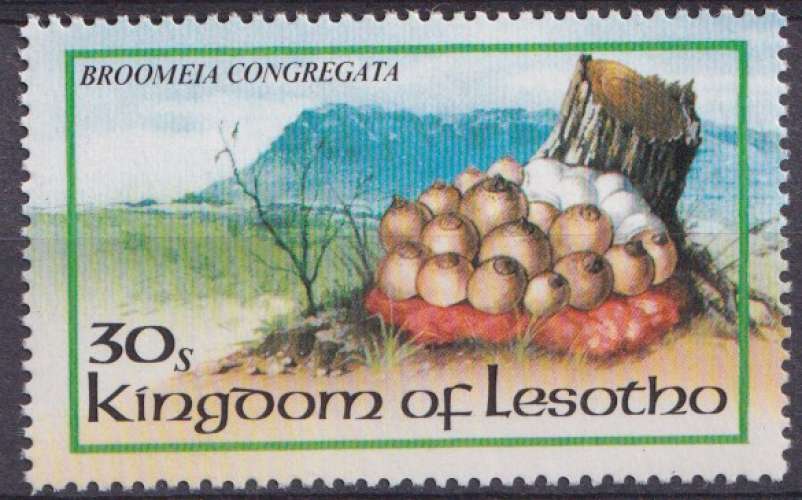 Lesotho 1983 Y&T 534 neuf ** - Champignons 