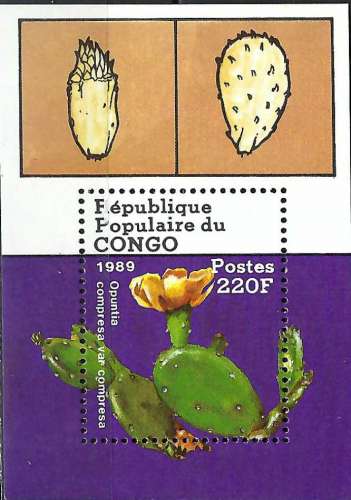 Congo - 1989 - Y & T n° 44 Blocs & feuillets - MNH