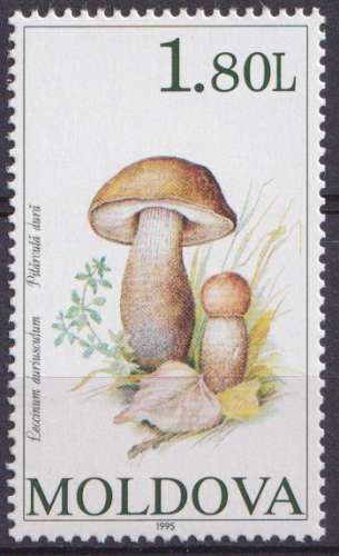 Moldavie 1995 Y&T 128 neuf ** - Champignons 