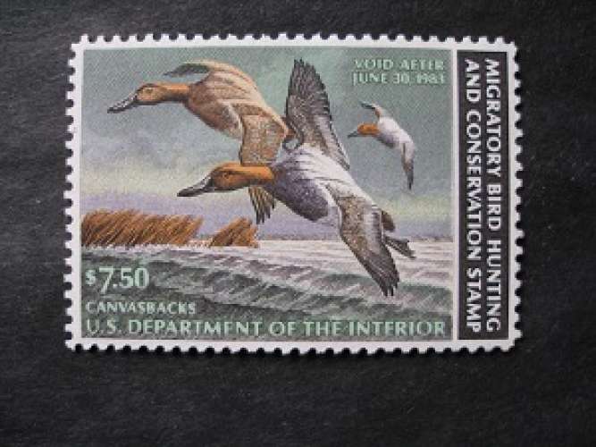 USA 1982 - Timbre pour permis de chasse ( canards ' Canvasback ' ) - MNH**