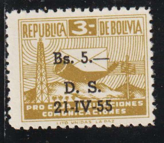 BOLIVIE Bienfaisance - Y&T  N° 22**