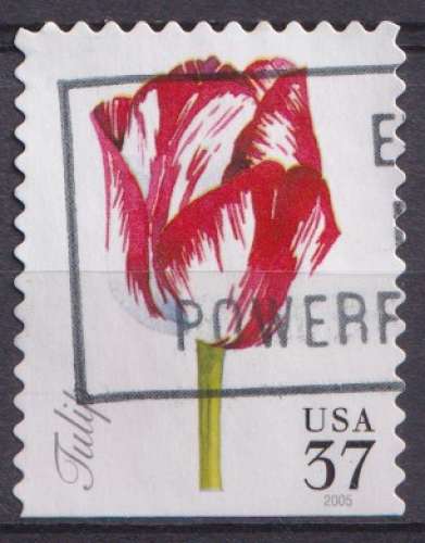 Etats Unis 2005 Y&T 3641 oblitéré - Fleurs - Tulipe 