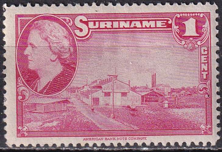 surinam ... n° 207  neuf sans gomme ... 1945